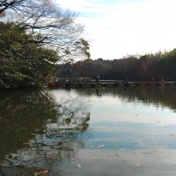 意外と釣れるぞ ～大安トラウトレイク～